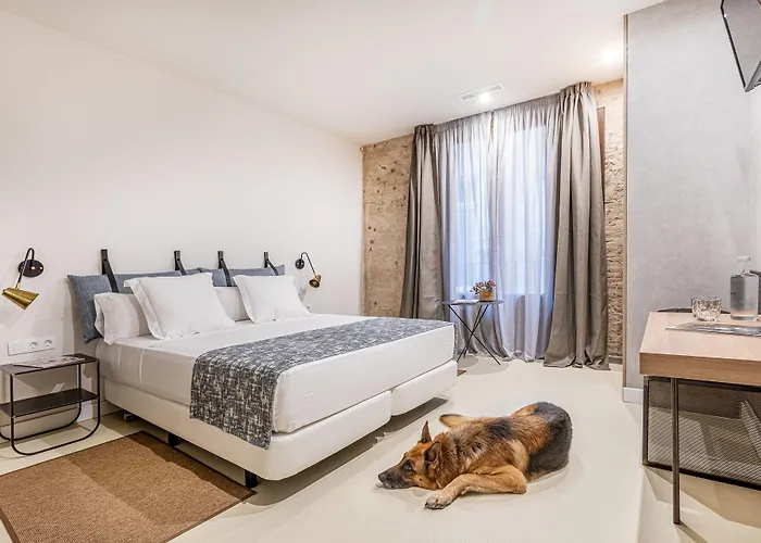 Casa Lirio Otel